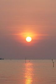 Coucher de soleil Japara, ⁨Java centrale⁩, ⁨Indonésie sur Sinne Schouten