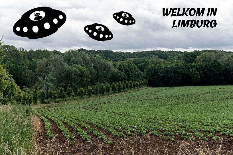 Bienvenue dans le Limbourg par Grüntyers .