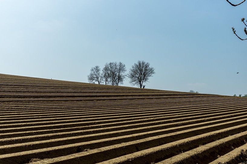Limburg par Mooie Foto