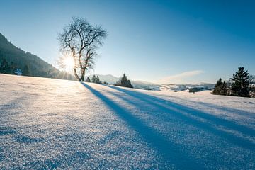 Sneeuwkristallen en winterse magie in Allgäu van Leo Schindzielorz