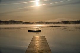Steiger die in een Zweeds meer reikt van Martin Köbsch