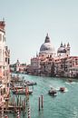 Canal Grande in Venedig, Italien von Expeditie Aardbol Miniaturansicht