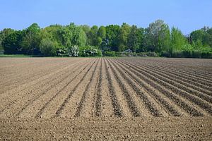 Voorjaar in de voorbereiding .  Het geploegde veld