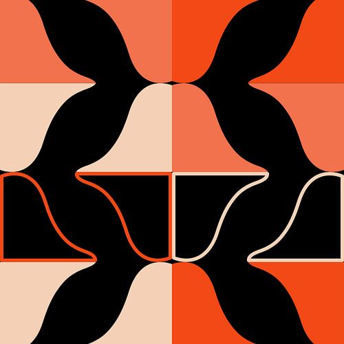 Het lied van de walvissen