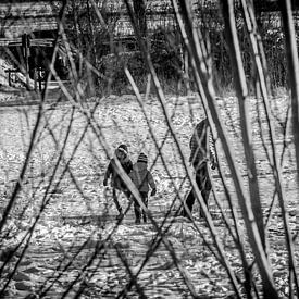 Le paradis en noir et blanc sur Elmar Marijn Roeper