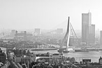 Morning in Rotterdam