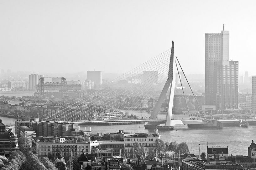 Matinée à Rotterdam par Rob de Voogd / zzapback