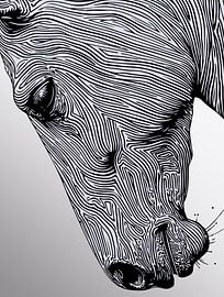 Flow of the Wild - Minimalist Line Art Horse Wall Print (en anglais)