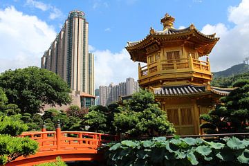 Nan Lian Garden - Chinesischer Garten Hongkong China von Berg Photostore