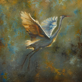 Taking Flight