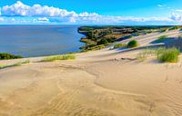 Grey dunes in the fall time