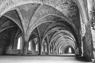 Fountains Abbey van Lieke Roodbol thumbnail