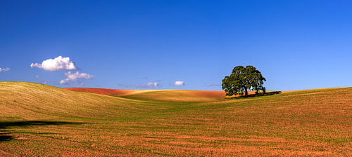 Herfst in Portugal