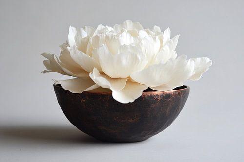 Witte pioenroos in koperen kom