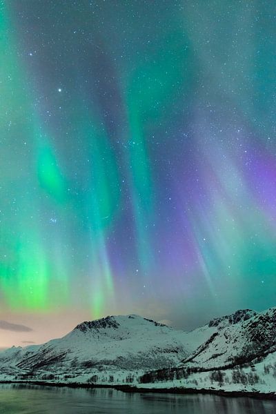 Nordlicht, Polarlicht oder Aurora Borealis am Nachthimmel über den Lofoten von Sjoerd van der Wal Fotografie