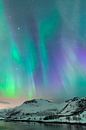 Noorderlicht, poollicht of Aurora Borealis in de nacht boven de Lofoten eilanden van Sjoerd van der Wal Fotografie thumbnail