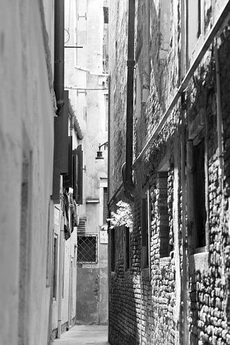 Venise sur heidi borgart