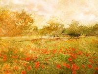 Trees and poppies