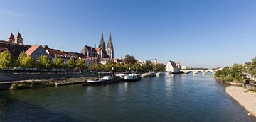 Regensburg Donau en Oude Stad Panorama van Frank Herrmann