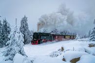 Brockenbahn in de sneeuw van Christian Möller Jork thumbnail