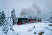 Brockenbahn in de sneeuw
