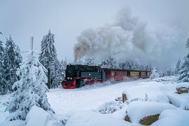 Brockenbahn in the snow by Christian Möller Jork