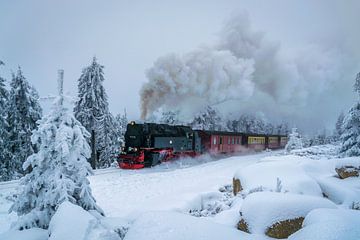 Brockenbahn in de sneeuw van Christian Möller Jork