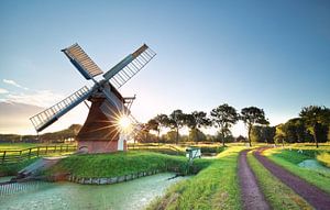 morning sunshine behind Dutch windmill van Olha Rohulya