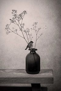 Stilleben Gipskraut in Vase mit Rotkehlchen schwarz-weiß