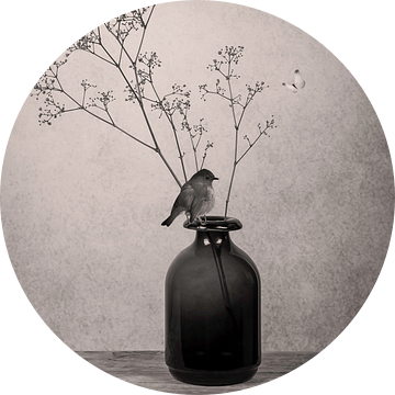 Stilleven gipskruid in vaas met roodborstje zwart-wit