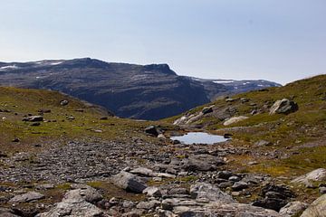 Berglandschap met meertje // Noorwegen, landschap, natuur // fine-art van suzanne.en.camera
