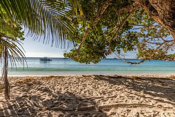 Sandy beach on the Seychelles island of Praslin by Reiner Conrad