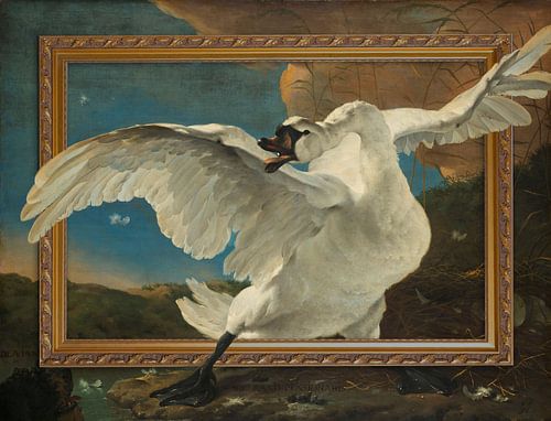 De bedreigde zwaan ontsnapt