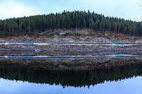 Reflections in the Schluchsee