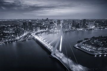 Rotterdam Erasmusbrücke Abend von Niels Dam