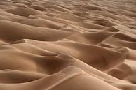 Zee van duinen in de woestijn | Sahara van Photolovers reisfotografie thumbnail