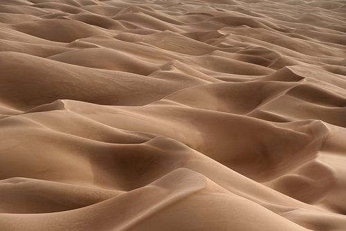 Zee van duinen in de woestijn | Sahara