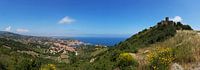 Collioure Panorama - historisch dorp en Fort St. Elme in het zuiden van Frankrijk van Frank Herrmann thumbnail