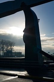 Juliana Sluis van Truckpowerr