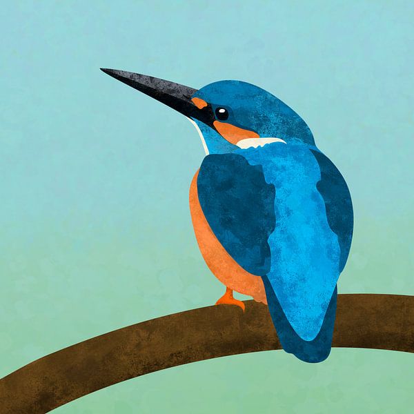 Common Kingfisher by A.C. van Zwol