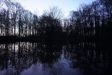 Forest pond by F. van extergem