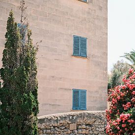 Ramen met blauwe luiken in de oude stad 'Dalt Vila', Eivissa // Reisfotografie van Diana van Neck Photography