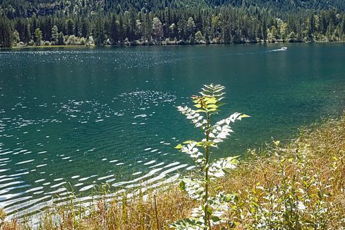 Le silence au lac Hintersee