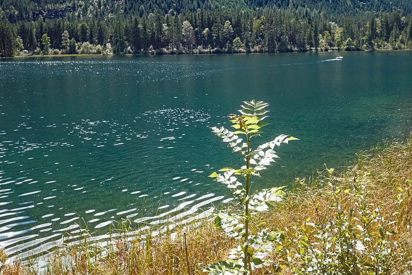 Stille am Hintersee von Thomas Riess