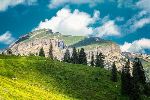 Hoher Ifen Österreich