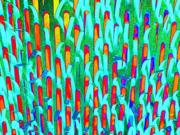 Abstract in meerkleuren van Maurice Dawson