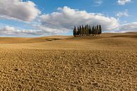 Val d'Orcia von Bart van Dinten Miniaturansicht