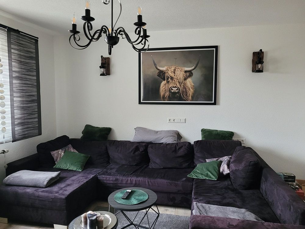 Scottish Highland Cow  by Diana van Tankeren 