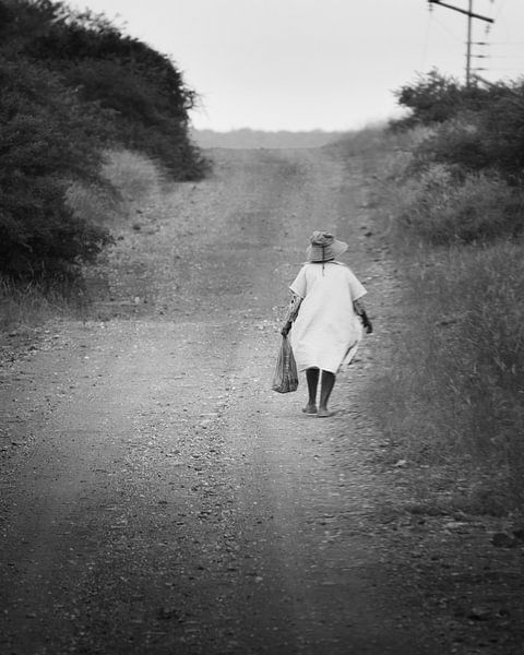 Der lange Weg nach Hause von Steffon Reid