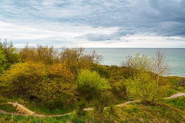 Landschaft an der Küste der Ostsee von Rico Ködder